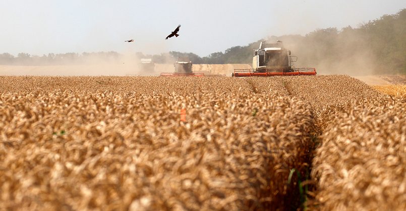 Минтранс Латвии предложил запретить импорт и транзит российского зерна