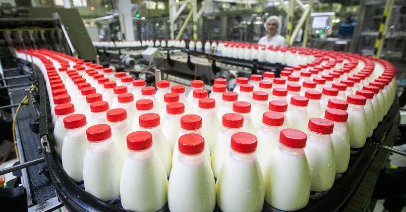 В Латвии предприятия молочной отрасли находятся на грани банкротства