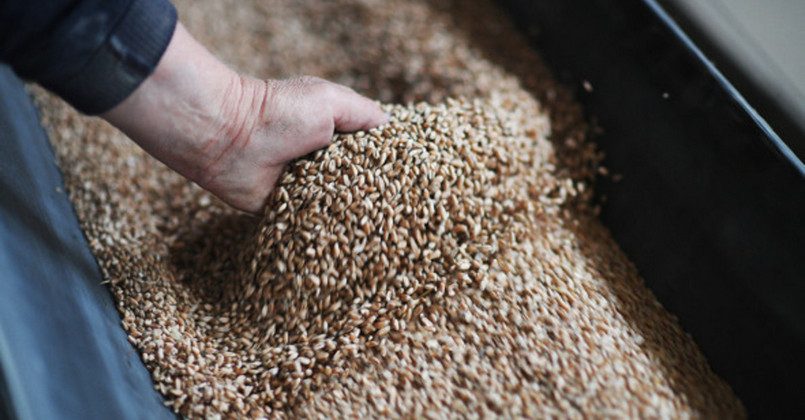 Литва заявила о снижении поставок российского зерна после усиления проверок