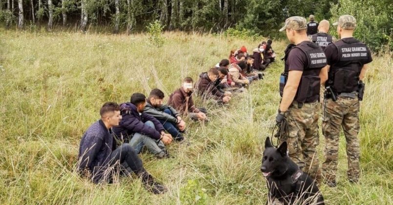 Погранслужба Литвы вытеснила большую группу мигрантов в Беларусь