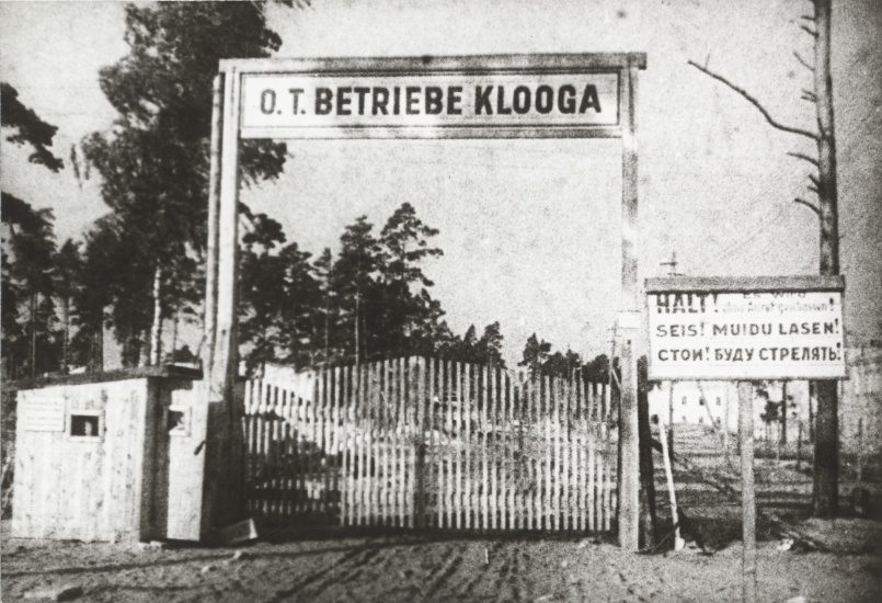 Клоога — страшный эстонский концлагерь, из его узников спаслись единицы. Лиизе Берчин это удалось  