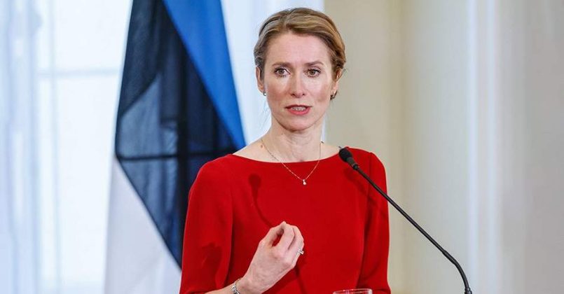 Медведев назвал премьера Эстонии «ушлой дамочкой»