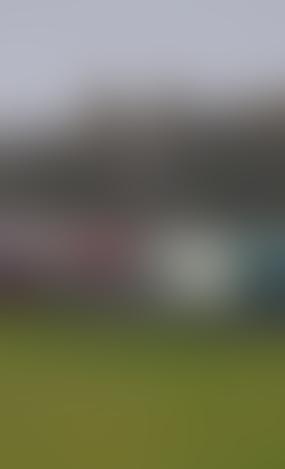 В белорусской таможне назвали условия для выезда литовских фур со стоянки