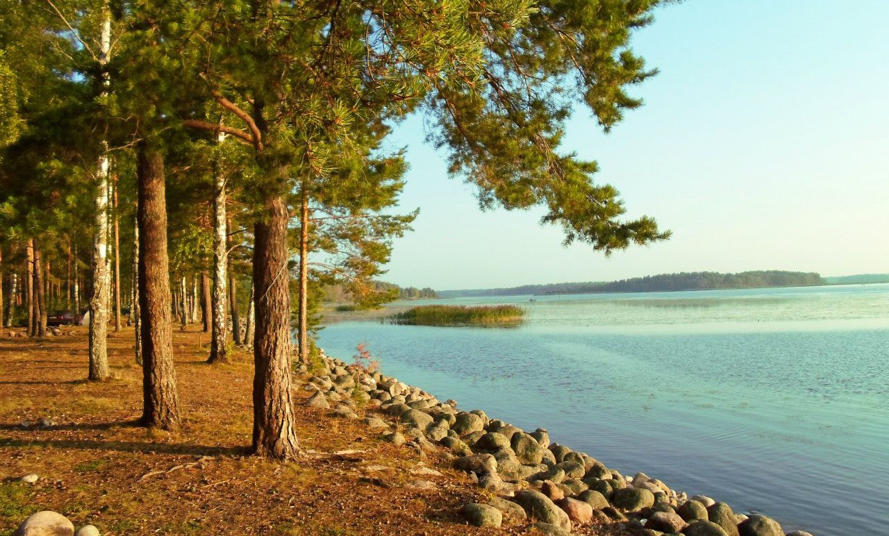 пансионат озеро зеркальное в ленинградской области