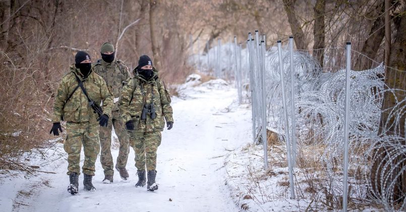 В Польше анонсировали начало строительства забора на границе с Беларусью
