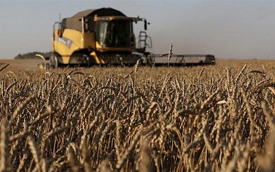 В Литве призвали повысить пошлины для сельскохозяйственной продукции из России и Беларуси 