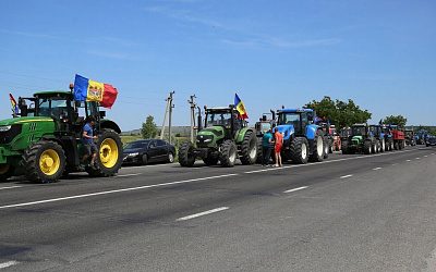 Страна на продажу: зачем команда Санду уничтожает сельское хозяйство Молдовы?