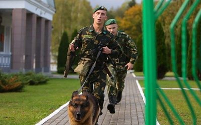 В Беларуси зафиксировали увеличение группировок ВСУ на границе