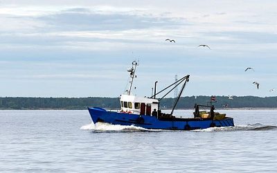 В Латвии рассказали, как страна загрязняет Балтийское море