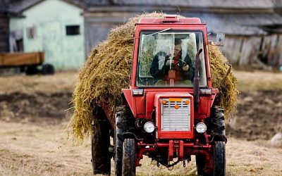 Фермеры в Литве оказались на грани банкротства