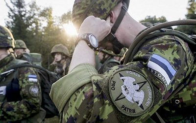 Советник президента Эстонии допустил отправку войск на Украину