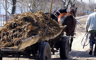 Украинцы пытались сбежать от мобилизации в Румынию на телеге с мусором