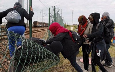 В Литве признались, сколько мигрантов вытеснили с границы в Беларусь с начала года