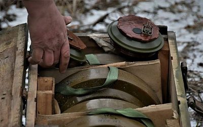 Эстония вслед за Финляндией захотела отменить запрет на противопехотные мины