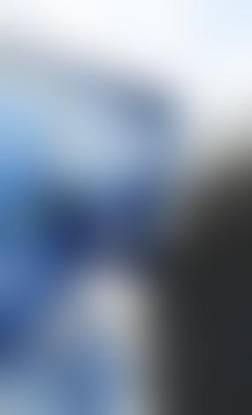 Ряд стран ЕС предложили прекратить торговлю с Россией и Беларусью