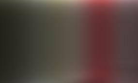 Оппозиция в Литве обвинила власти в блокировке грузовиков на территории Беларуси