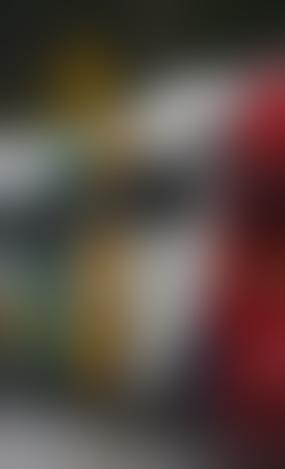 Оппозиция в Литве обвинила власти в блокировке грузовиков на территории Беларуси