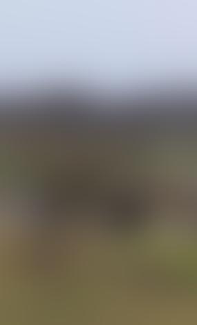 Литва намерена провести совместные с Польшей учения в Сувалкском коридоре