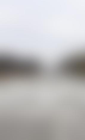 Сейм Латвии принял закон «об остановке потенциального вторжения»