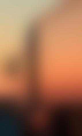 Польские перевозчики пожаловались на действия Киева на границе