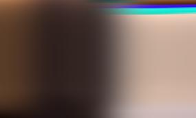 Сейм Литвы снова обсуждает снижение возрастного порога для местных выборов