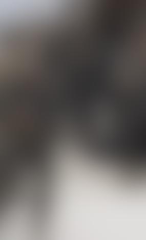 Провокаторы на марше: зачем Латвия проводит учения «Namejs 2025»?