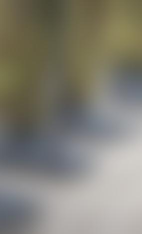 Эстония начинает крупную операцию по защите воздушного пространства